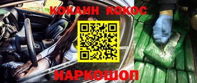 a pvp Камышлов