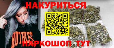 a pvp Камышлов