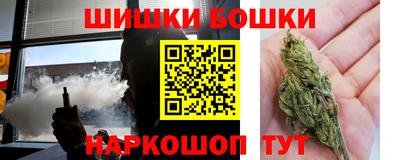 a pvp Камышлов