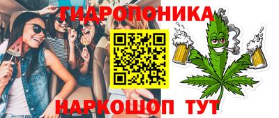 a pvp Камышлов