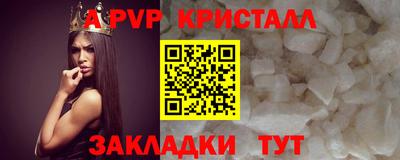 a pvp Камышлов