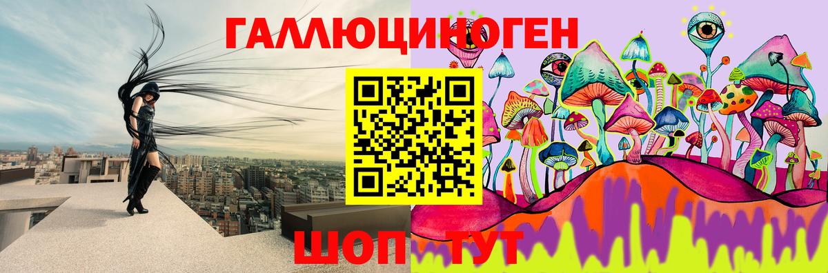 Галлюциногенные грибы мухоморы  где купить наркоту  Кузнецк  Вход с VPN 